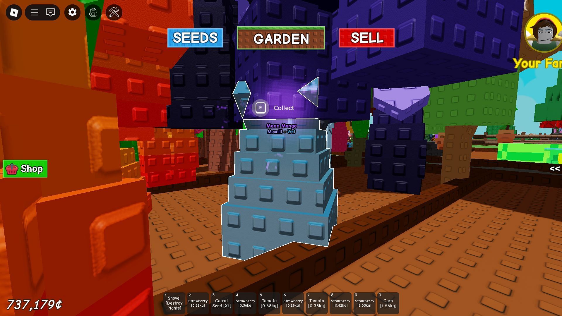 A Moonlit Fruit (Image via Roblox)